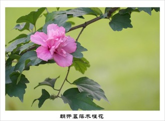 201609157