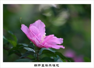 201609158
