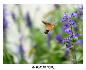 201609273