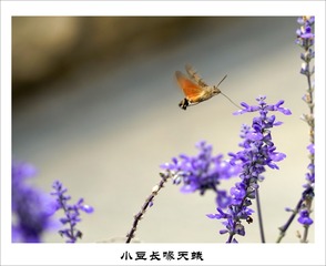 201609275