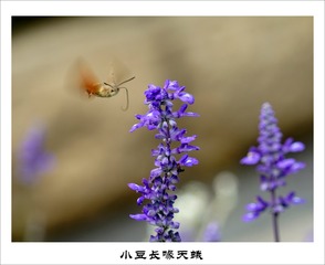 201609276
