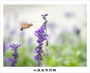 201609278