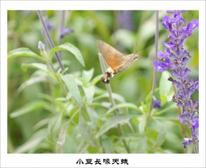 201609274