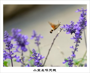 201609279