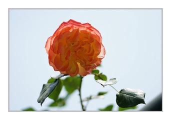 8DSC05870_