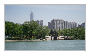 3DSC06775_