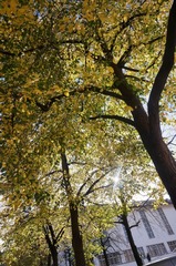 DSC02397 - 