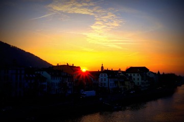 DSC03850 -  - 