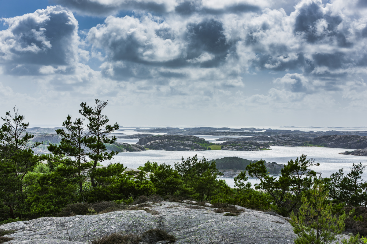 图中为rz24,ca24(已换装209t转向架)