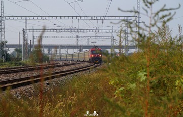 DSC06290 拷贝