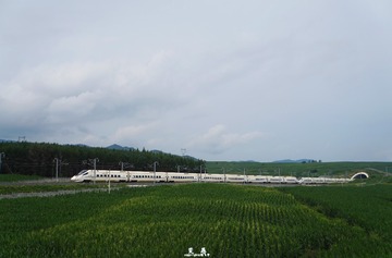 DSC05791 拷贝