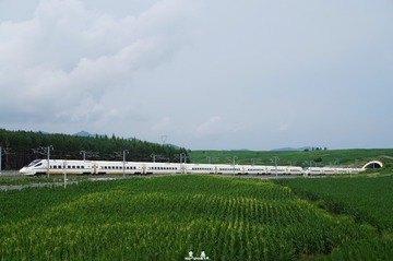 DSC05771 拷贝