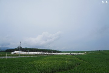 DSC05772 拷贝