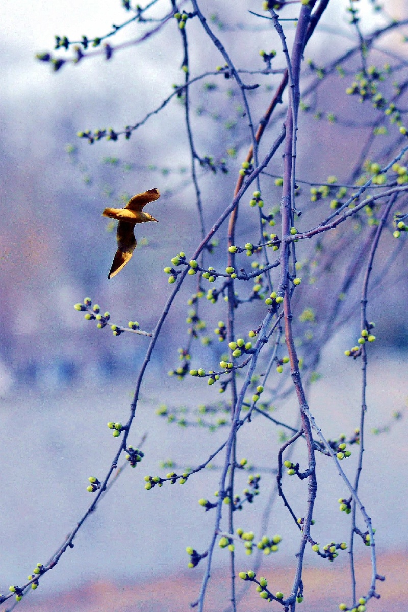 春回大地万物复苏