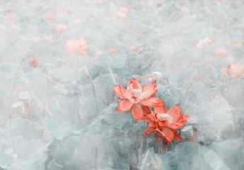 _84A7893