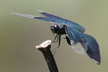 20120816_021