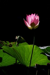 20110904_110