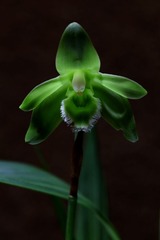 2014-04-07_18