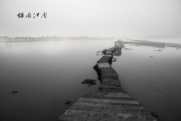 DSC_6856-1