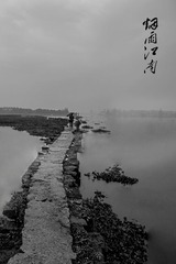 DSC_6876-1-1