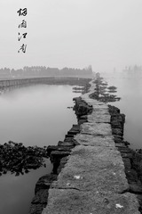 DSC_6884-2
