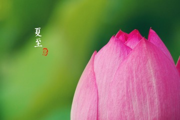 夏至