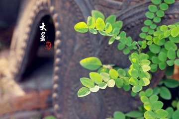 大暑