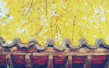 白露