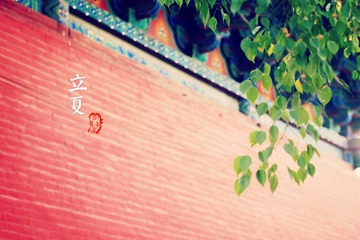 立夏