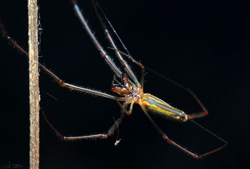 IMG_6499_