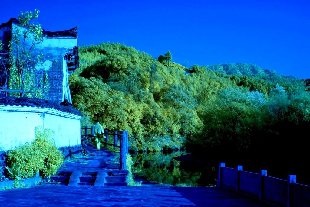 莫道君行早