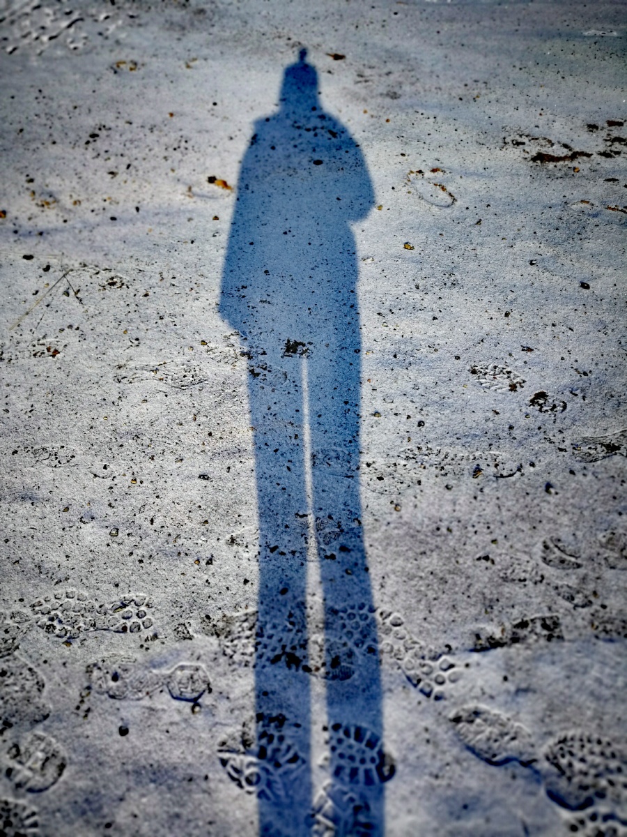 小鱼的影子～ - 哈哈哈哈哈哈哈嗝嗝嗝