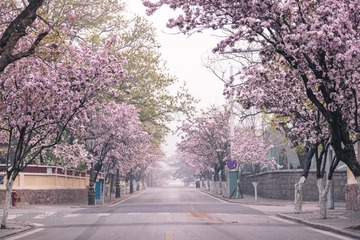 花季