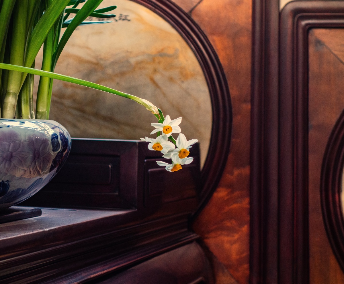 二月水仙案头供