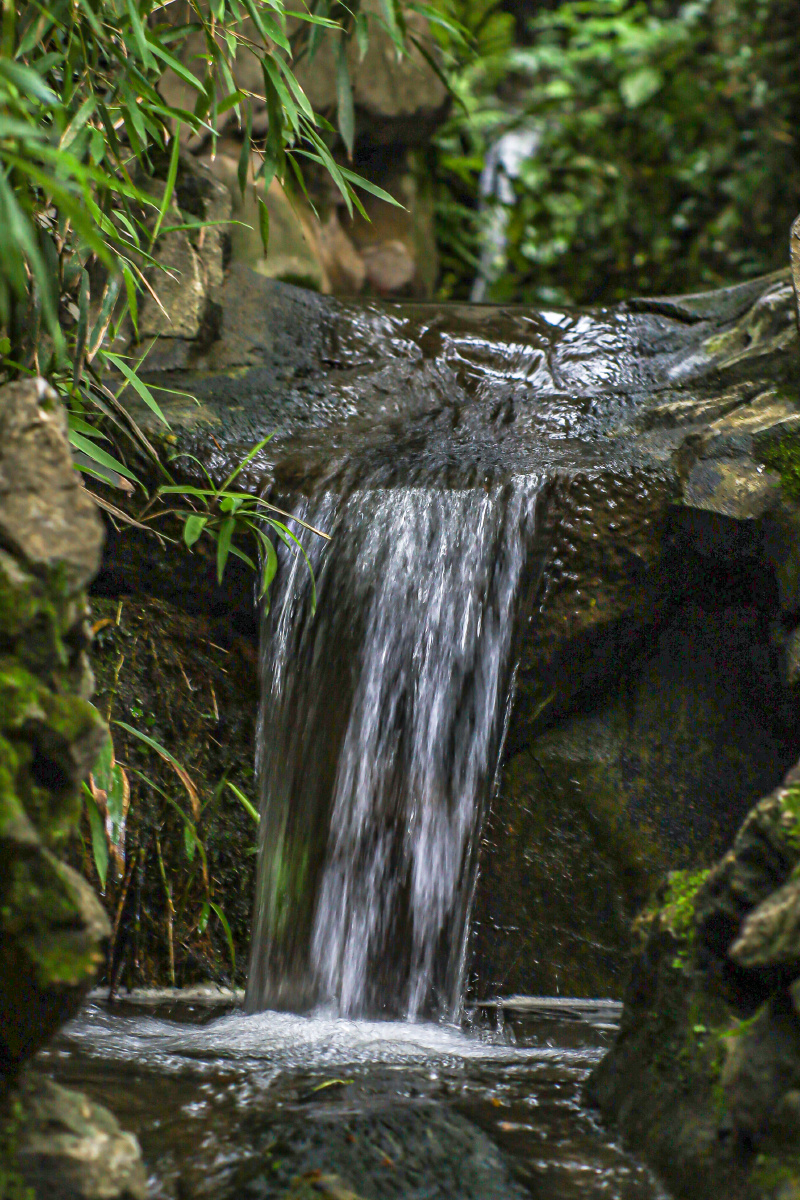 川流不息中国水下摄影购买并下载购买版权后可将图片用于商业或新闻