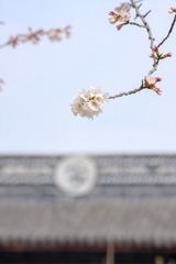 CFE4625C-F0BD-4D7C-ACFF-1EE045661DC9/L0/001