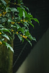 46CC2B20-C5E1-4A9D-8300-72A95B0D3284/L0/001