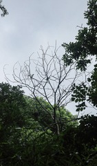 2533977