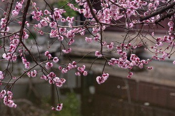 6503647C-F5D5-4D89-A8CF-5B1DB9A7CF2D/L0/001