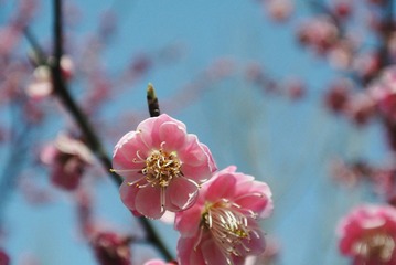 DSC_0737.JPG
