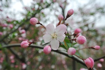 DSC_0911.JPG