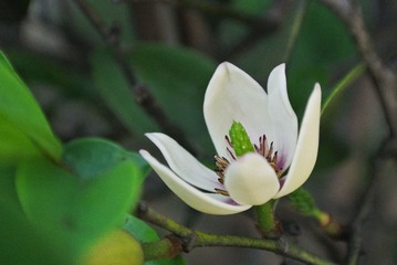 DSC_1380.JPG