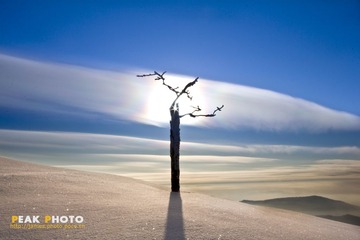 “IMG_0968”