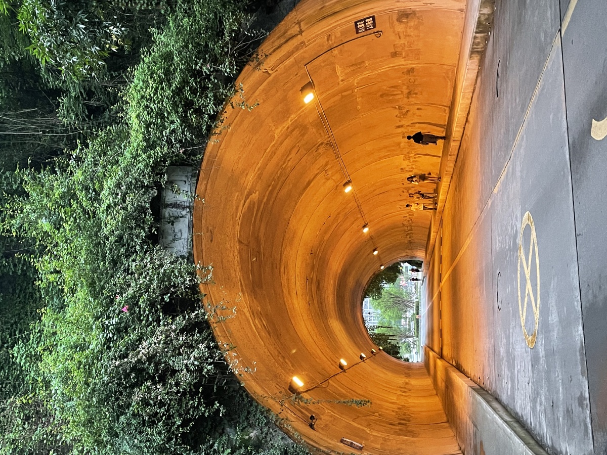 重庆理工大学镜湖和士继门 - 乙未大叔 - 图虫