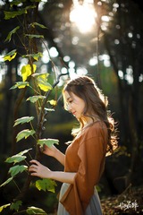 FAET0260y