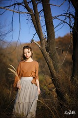 FAET0379y