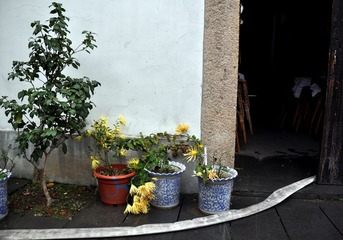 DSC_0008.JPG