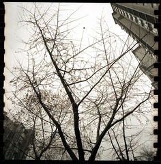 23B66BFC-0CF1-4DC6-96BA-59FEB828E3C0/L0/001