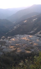 IMAG0052