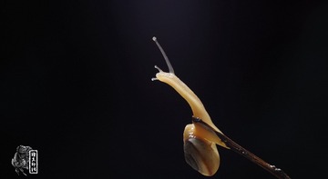 IMGP0739_